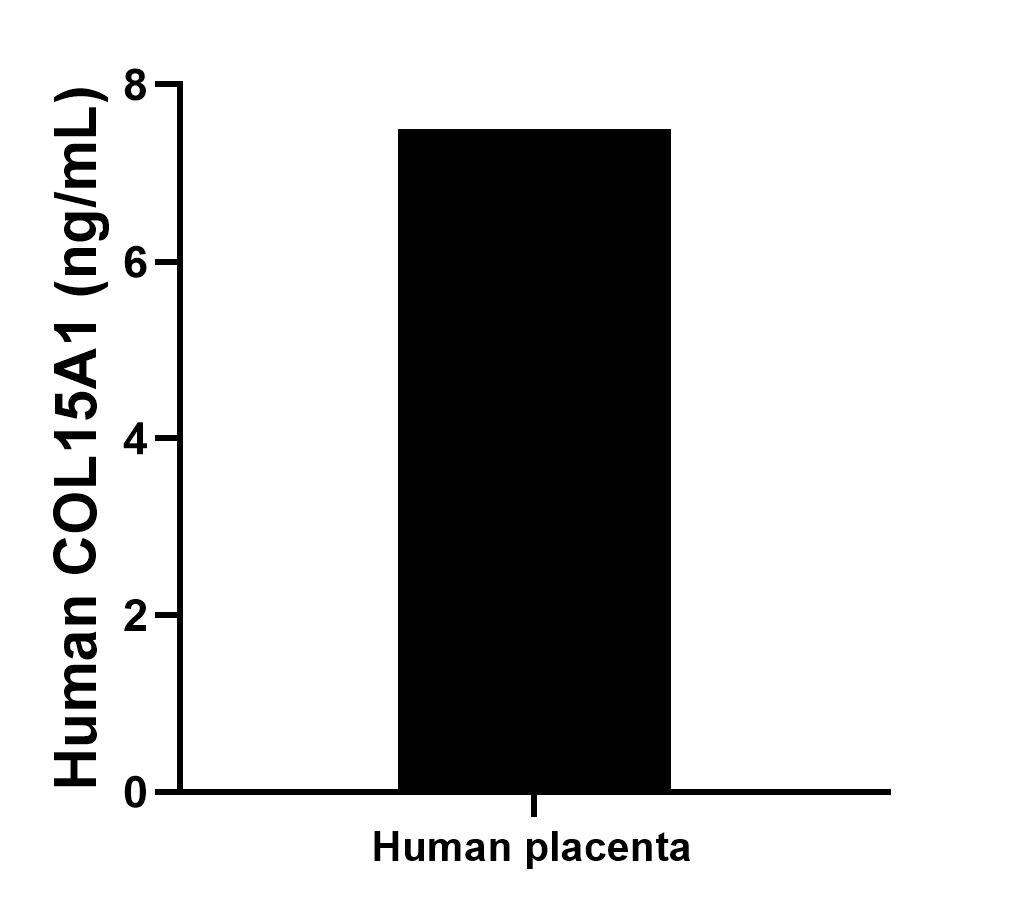 Sample test of MP00133-4